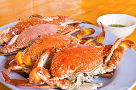 螃蟹蒸熟后能放多长时间  螃蟹煮熟可以冷冻保存吗 ？